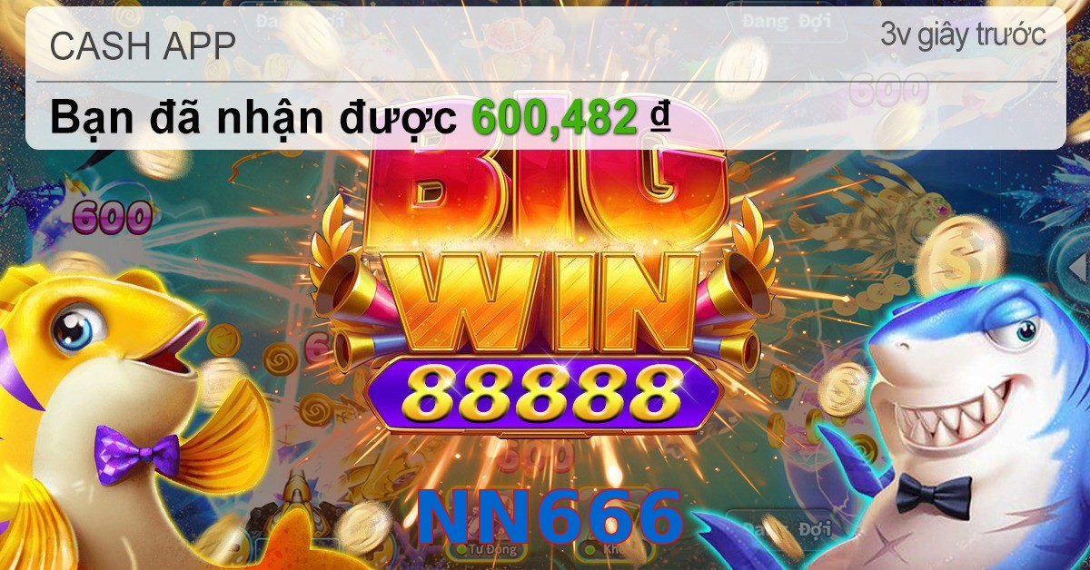 NN666